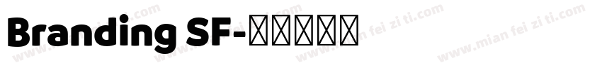 Branding SF字体转换